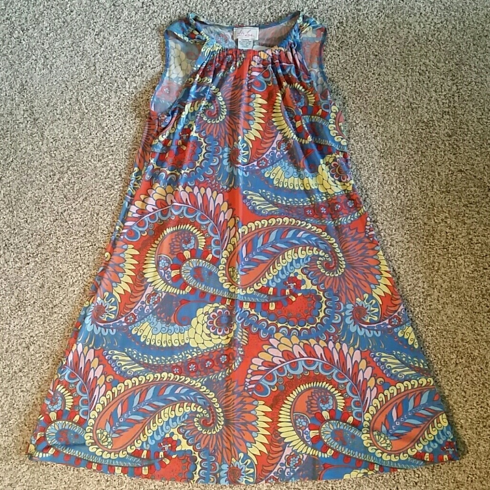 NWT Ivy Lane paisley swing dress